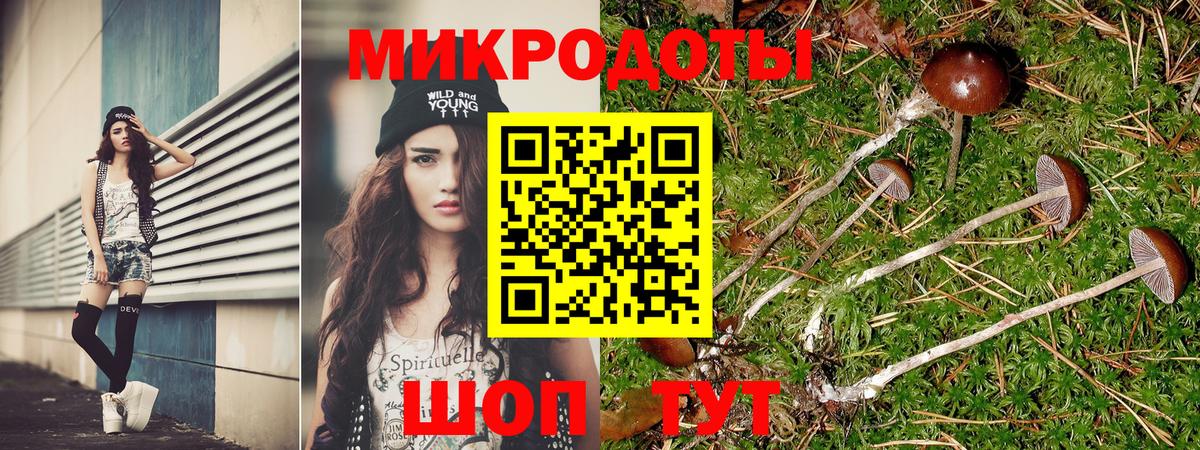 Галлюциногенные грибы мицелий  Вход с VPN  Ногинск 