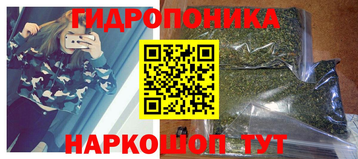 Канабис ГИДРОПОН  Вход с VPN  Ногинск  Конопля конопля 